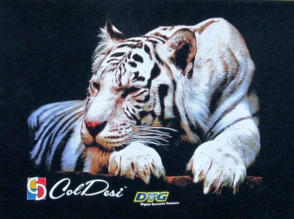 Viper DTG Printer from ColDesi