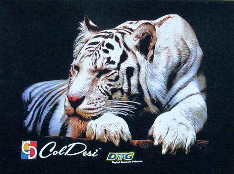 Viper DTG Printer from ColDesi