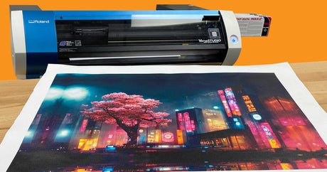 Printing on Canvas with the Roland BN-20A