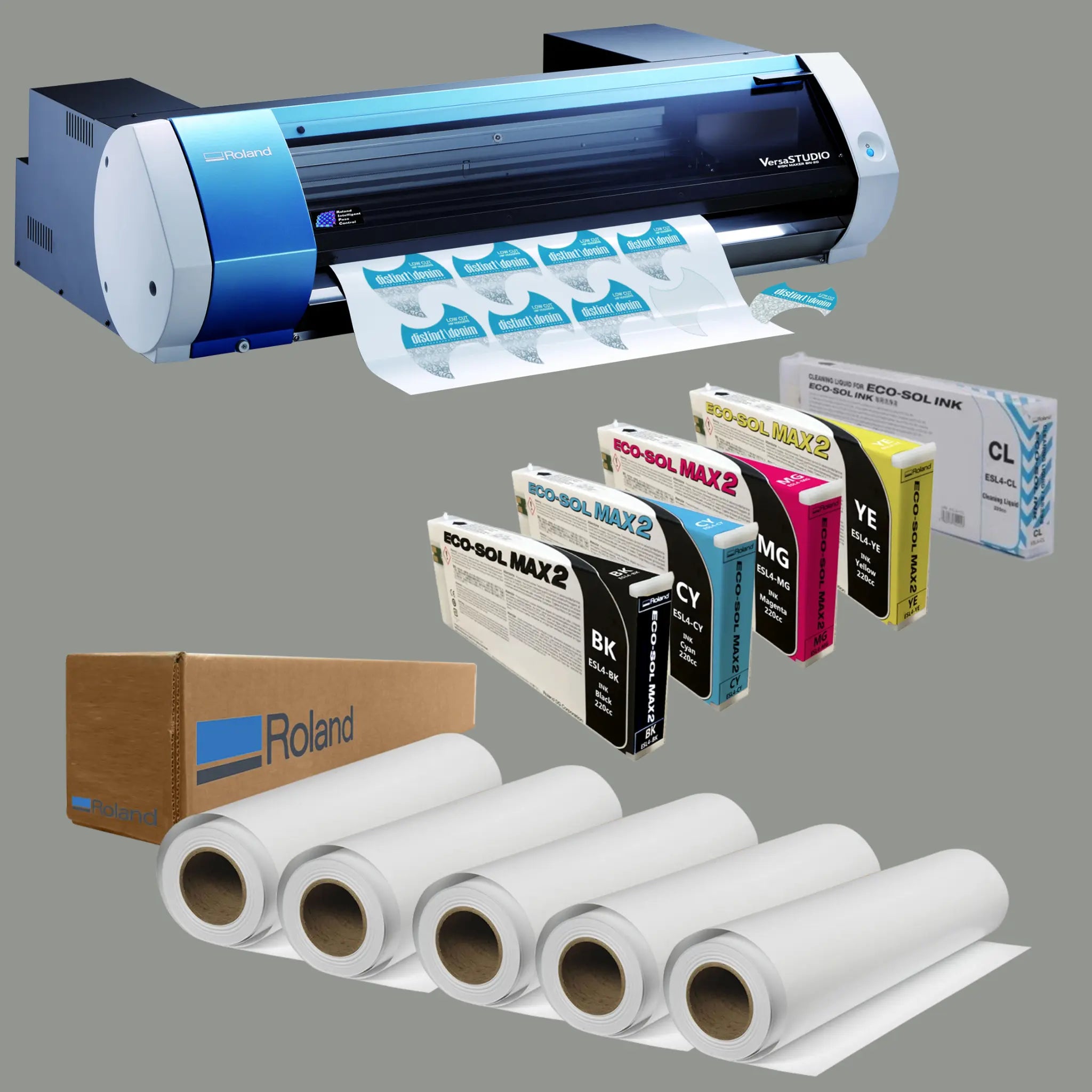 print and cut vinyl - ColDesi
