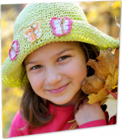 ChromaLuxe Photo Panels