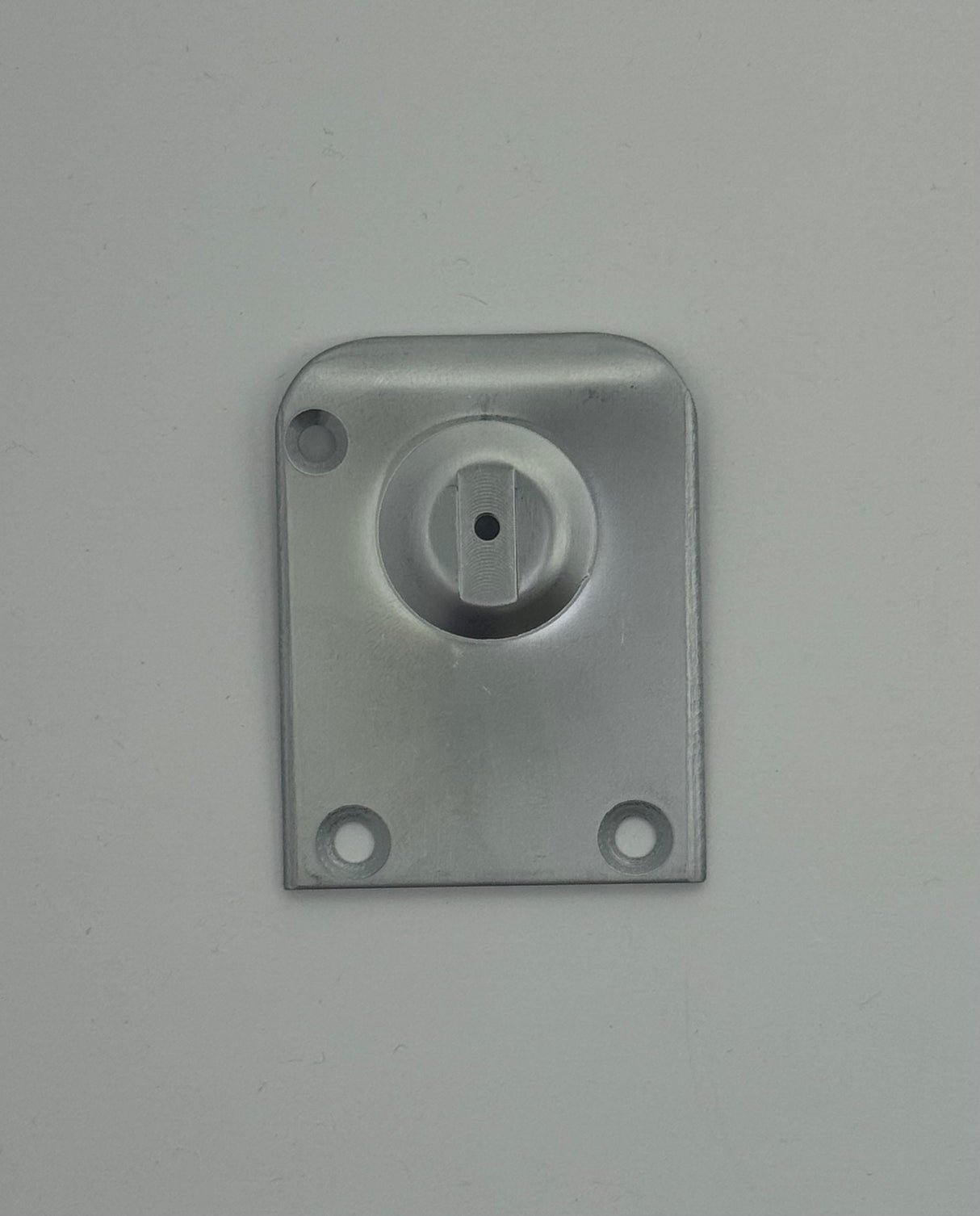 Flat and Cap Needle Plate 1501