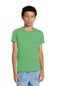 BELLA+CANVAS  ®  Youth Triblend Short Sleeve Tee. BC3413Y