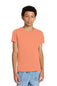 BELLA+CANVAS  ®  Youth Triblend Short Sleeve Tee. BC3413Y