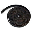 Belt - 3.3 meters