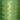 Endura GLOWING ASPARAGUS P284E Polyester Thread