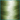 Endura COLLARD GREENS P295E Polyester Thread