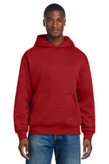 District ®  V.I.T. ™  Heavyweight Fleece Hoodie DT6150