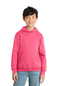 Port & Co ™  Youth Core Fleece Pullover Hooded Sweatshirt PC78YH