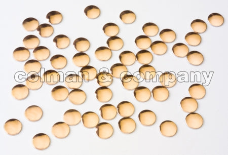 COPPER-NHEAD-2MM 50gr