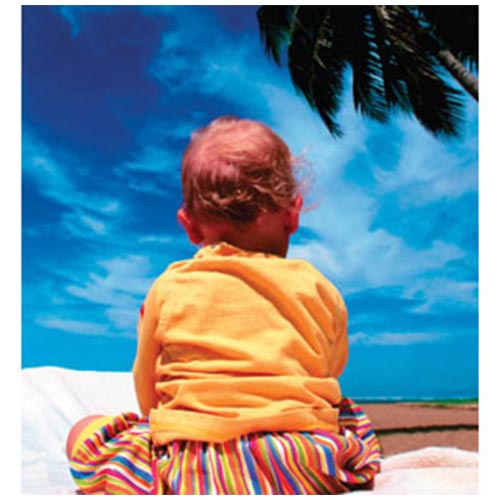 Glossy Permanent Adhesive Print & Cut Vinyl